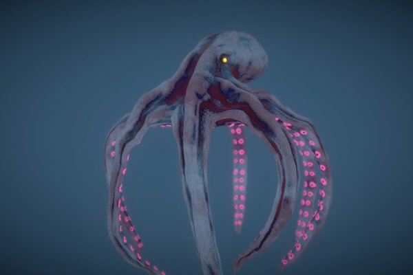 Kraken tor