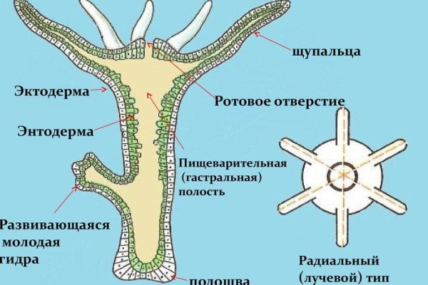 Кракен тор зеркало официальный сайт