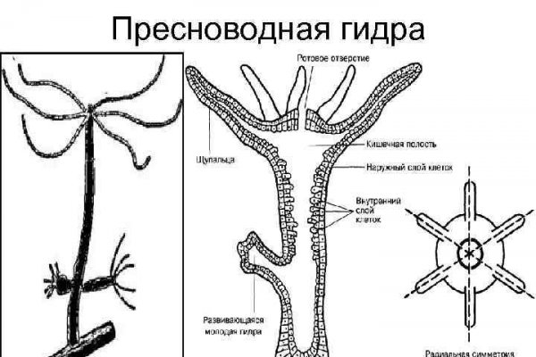 Блэкспрут сайт с наркотиками