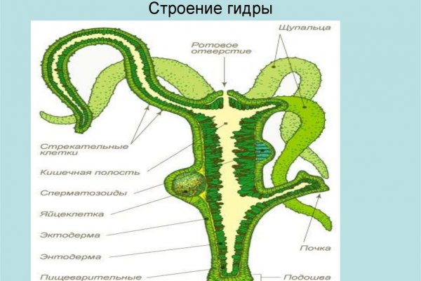 Кракен сайт нарко веществ