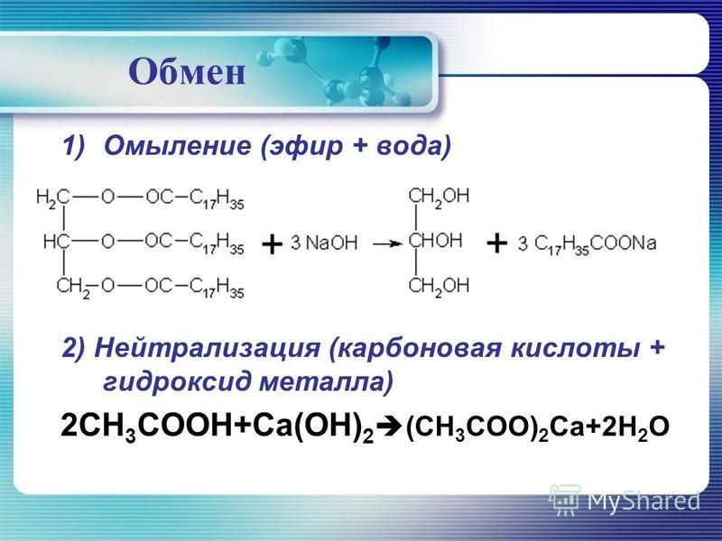 Mega darknet ссылка